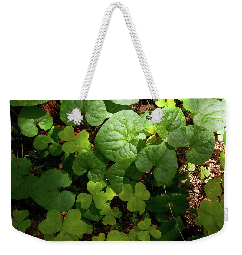 Forest Weekender Tote Bag featuring the photograph Forest Floor by Andrew Kumler