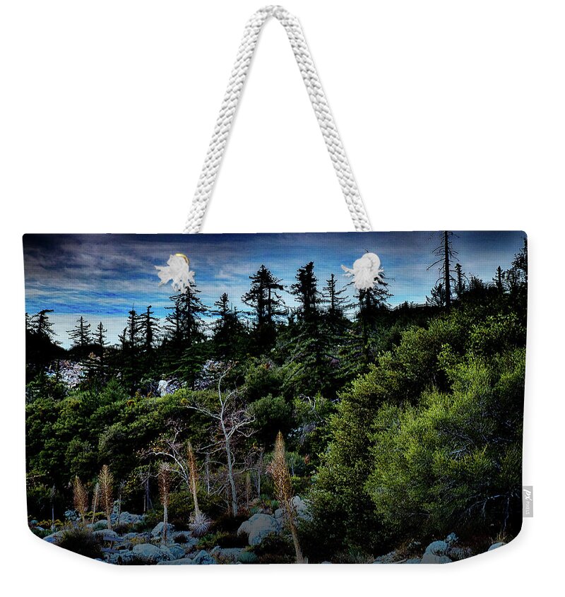 Forest Weekender Tote Bag featuring the photograph Forest For The Trees by Joseph Hollingsworth