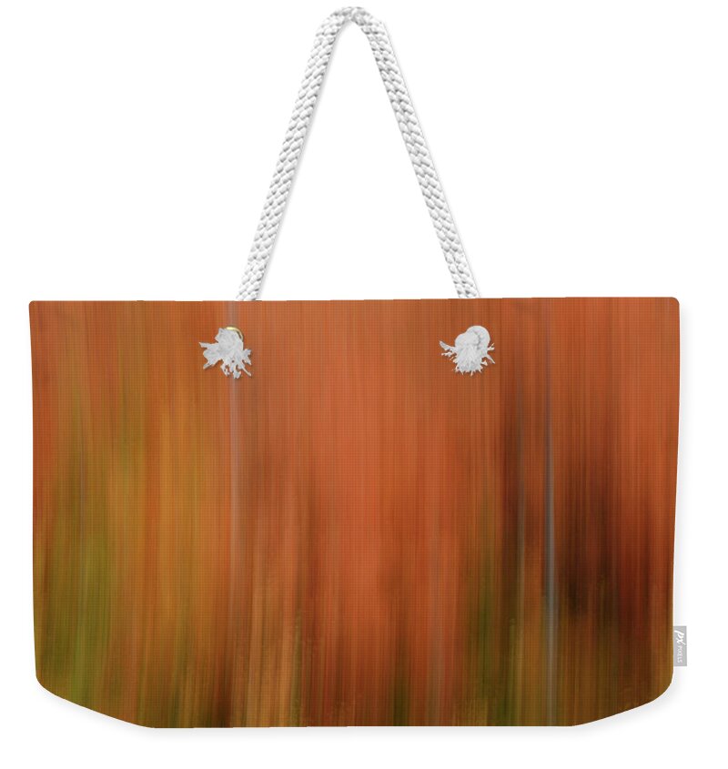 Autumn Weekender Tote Bag featuring the photograph Forest Illusions- Autumnal Fire by Whispering Peaks Photography