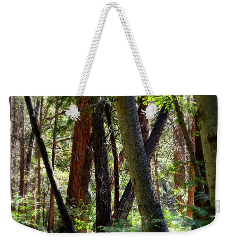 Forest Of Dreams Weekender Tote Bag featuring the photograph Forest Of Dreams by Glenn McCarthy Art and Photography