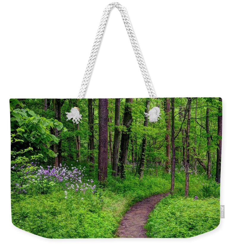 Forrest Weekender Tote Bag featuring the photograph Forest Path by Ann Bridges