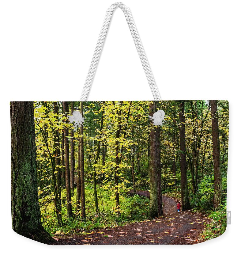 Trees Weekender Tote Bag featuring the photograph Forest Pathway by John Christopher