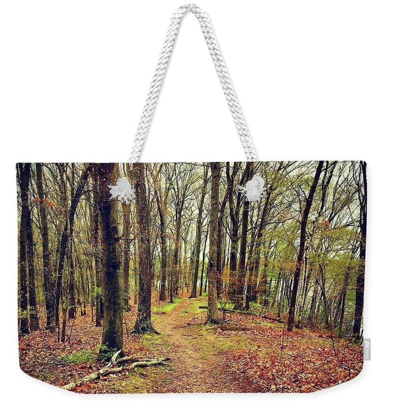 Forest Weekender Tote Bag featuring the photograph Forest Path by Nancy Ann Healy