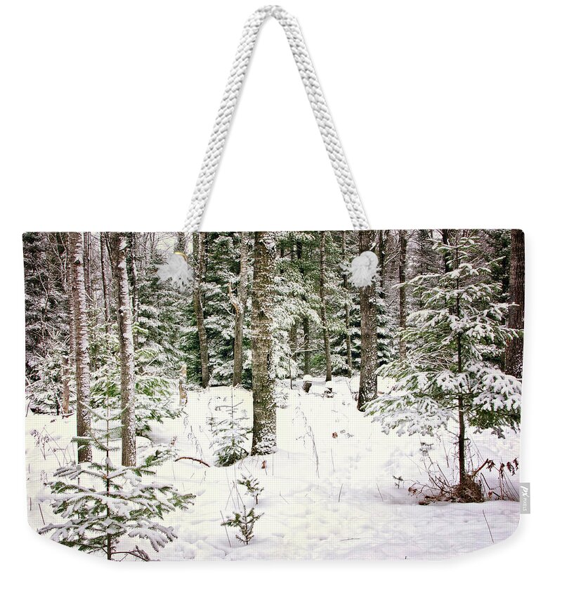 Forest Through The Trees Print Weekender Tote Bag featuring the photograph Forest through the Trees Print by Gwen Gibson