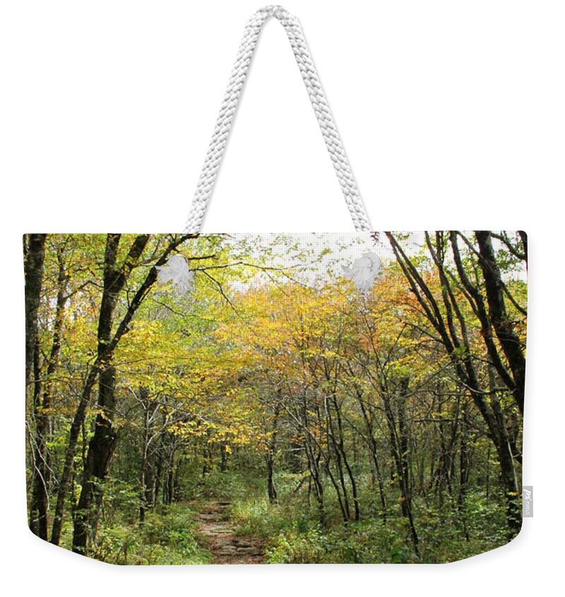 Bright Path Weekender Tote Bag featuring the photograph Forest Trail by Allen Nice-Webb