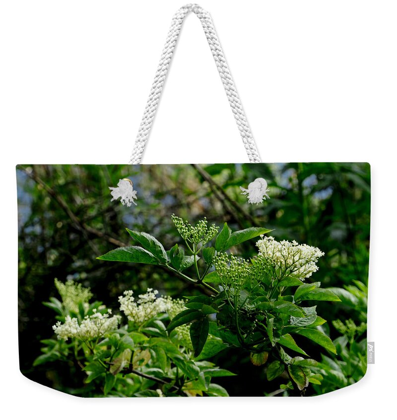 Beecraigs Weekender Tote Bag featuring the photograph Forest Undergrowth. by Elena Perelman
