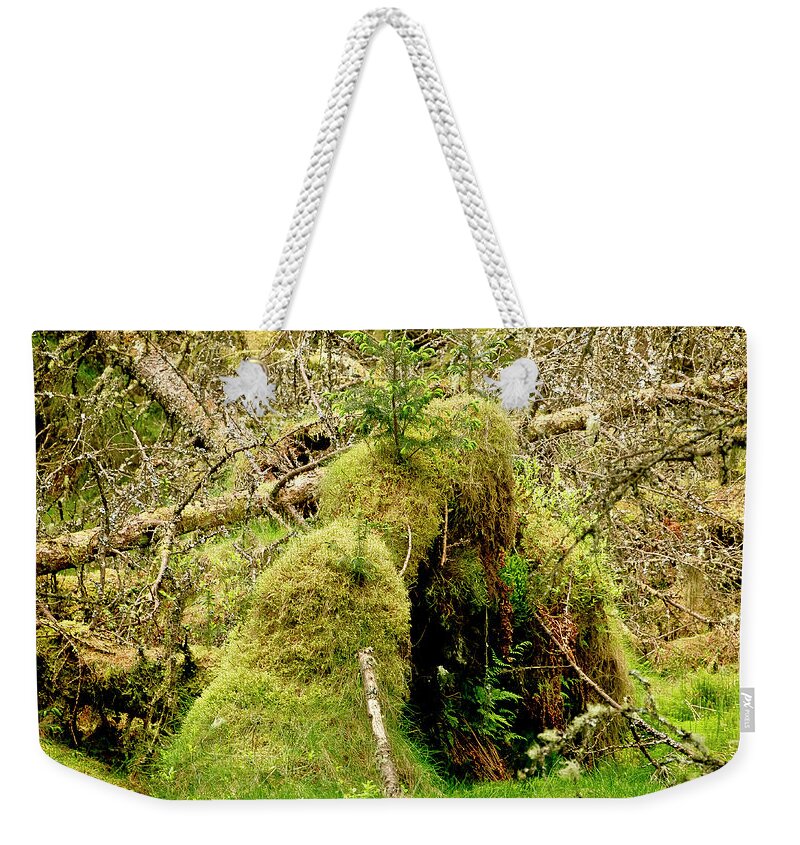 Creature Weekender Tote Bag featuring the photograph Forever Together by Elena Perelman
