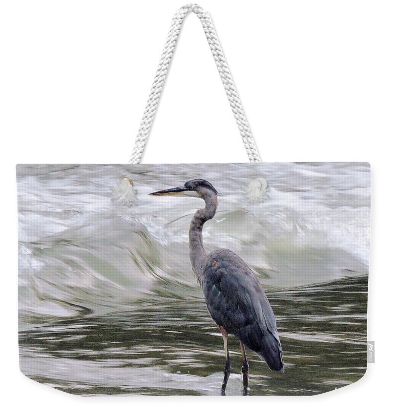 Great Blue Heron Weekender Tote Bag featuring the photograph Forget Me Never by Tami Quigley