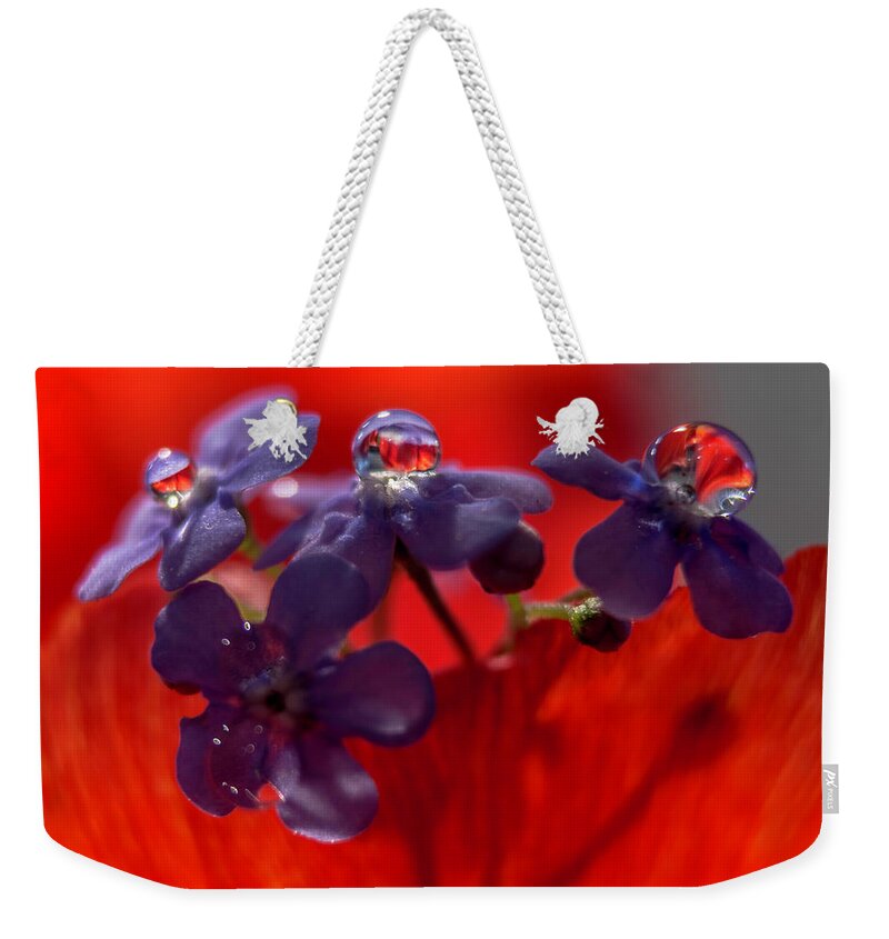 Forget-me-not Weekender Tote Bag featuring the photograph Forget-me-nots by Wolfgang Stocker