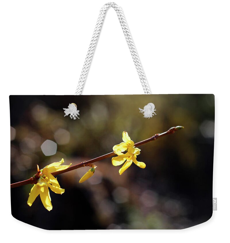 Nature Weekender Tote Bag featuring the photograph Forsythia flowers by Helga Novelli