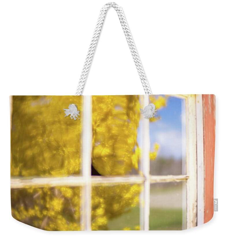 Forsythia Tree Plant Flowering Flowers Barn Window Reflection Reflections Red Redbarn Sky Ma Mass Massachusetts New England New England Usa U.s.a. Brian Hale Brianhalephoto Outside Outdoors Nature Soft Focus Softfocus Lensbaby Velvet Velvet56 56 56mm Weekender Tote Bag featuring the photograph Forsythia Reflection 3 by Brian Hale