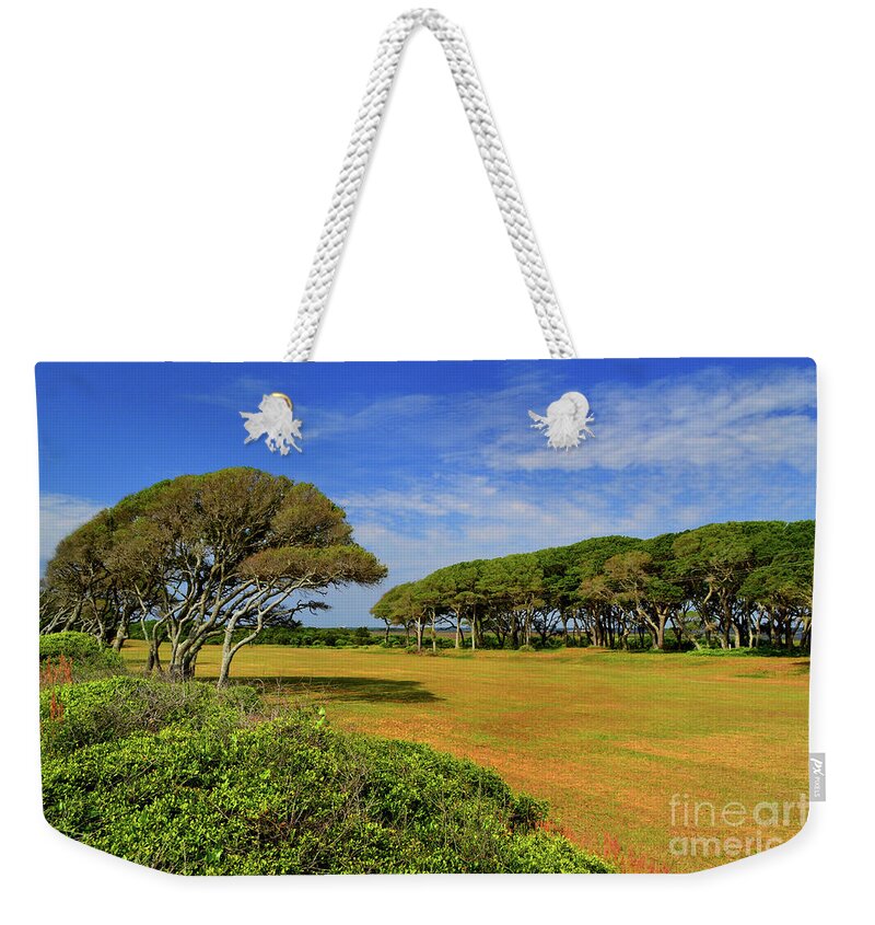 Fort Fisher Weekender Tote Bag featuring the photograph Fort Fisher Trees by Amy Lucid