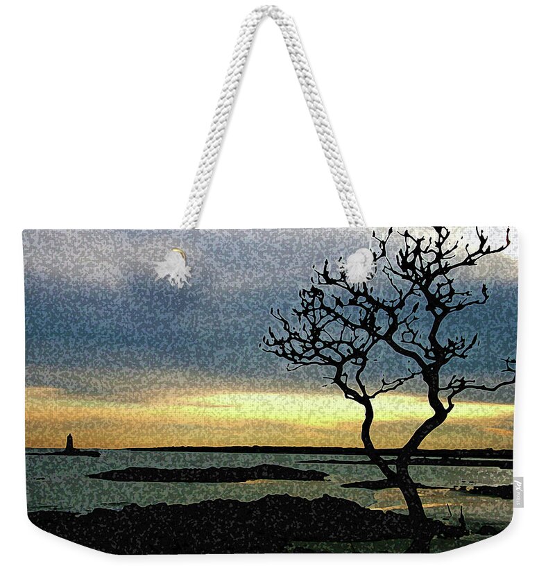 Maine Weekender Tote Bag featuring the photograph Fort Foster tree by Mark Alesse