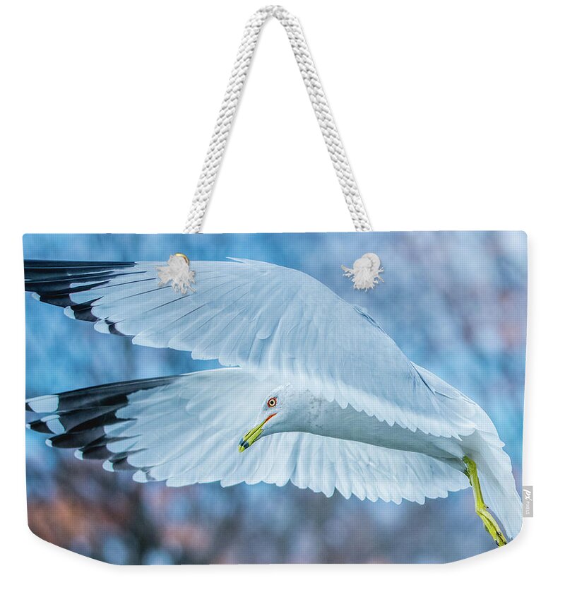 20170128 Weekender Tote Bag featuring the photograph Forward Flight by Jeff at JSJ Photography