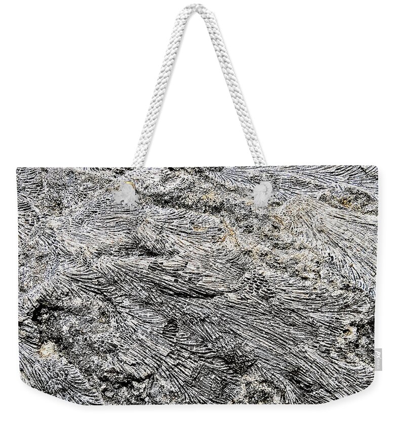 Abstract Weekender Tote Bag featuring the photograph Fossil Rock Abstract 10 by Bob Slitzan