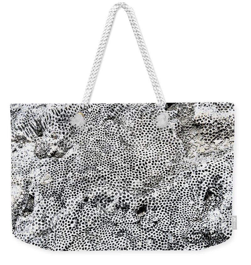 Abstract Weekender Tote Bag featuring the photograph Fossil Rock Abstract 12 by Bob Slitzan