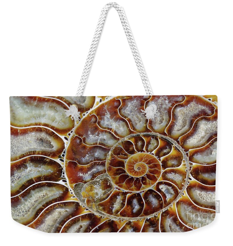 Ammonite Weekender Tote Bag featuring the photograph Fossilized Ammonite Spiral by Bruce Block