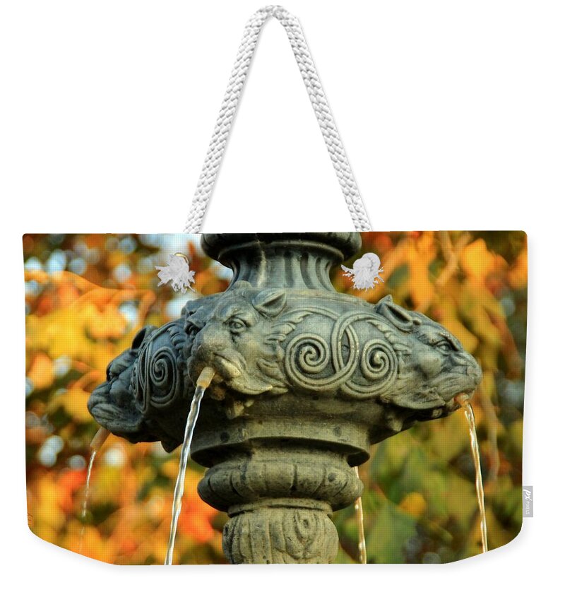 Fountain Weekender Tote Bag featuring the photograph Fountain at Union Park by Chris Berry