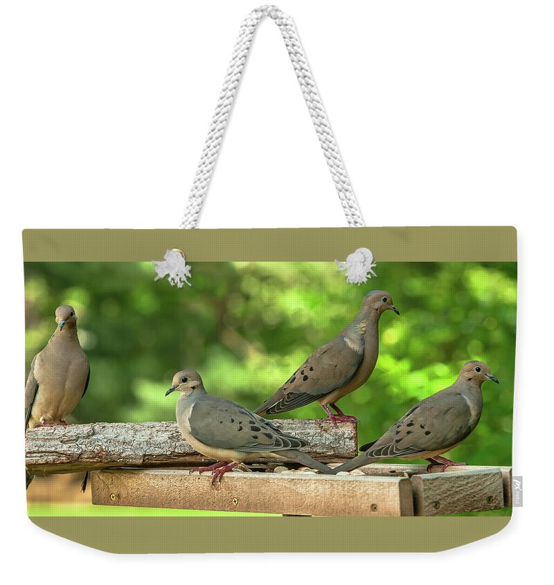Alexandria Weekender Tote Bag featuring the photograph Four Doves in Search of a Theme by Jim Moore