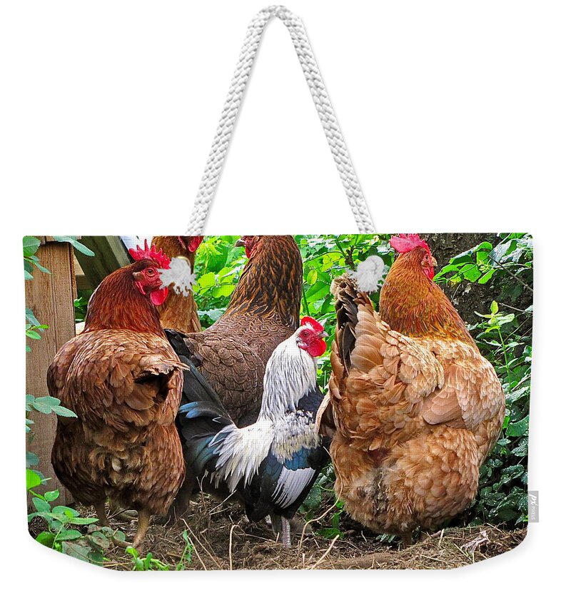 Photography Weekender Tote Bag featuring the photograph Four Hens and a Rooster by Sean Griffin