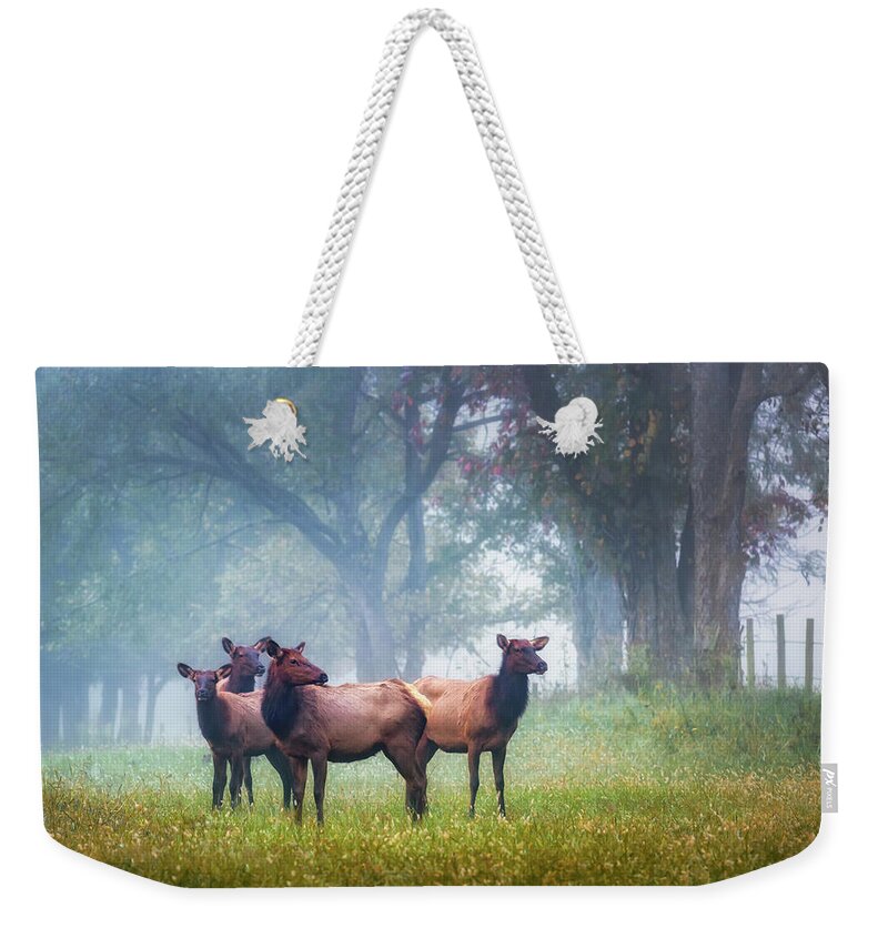 Elk Weekender Tote Bag featuring the photograph Four of a Kind by James Barber