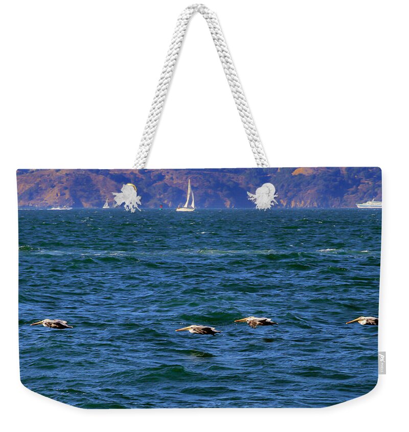 Bonnie Follett Weekender Tote Bag featuring the photograph Four Pelicans Cruising the Bay by Bonnie Follett
