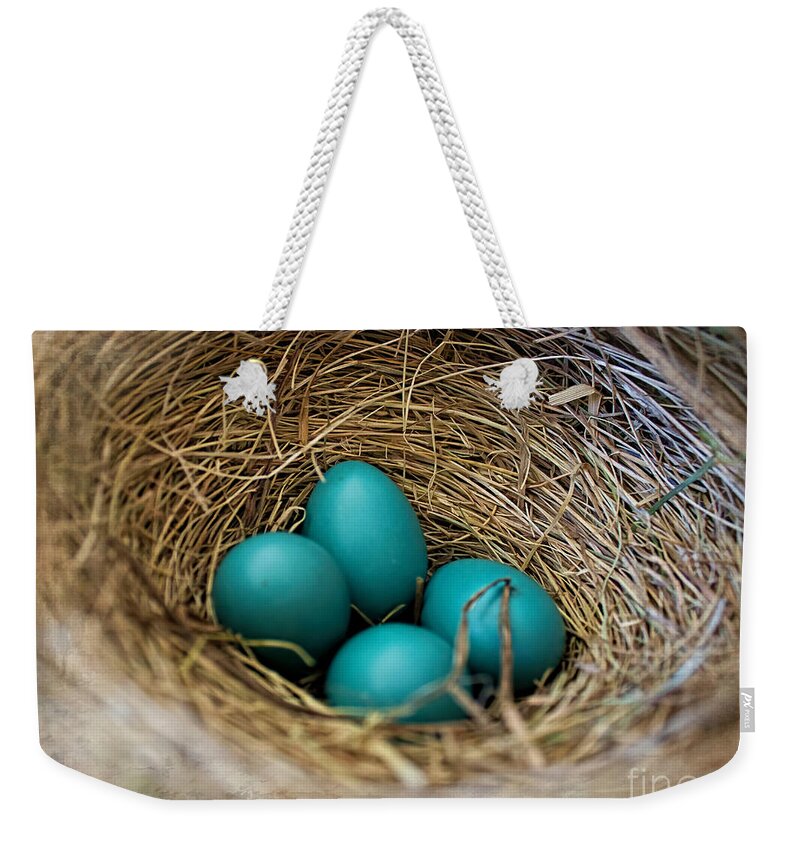 Robin Eggs Weekender Tote Bag featuring the photograph Four Robin Eggs In Nest by Barbara McMahon