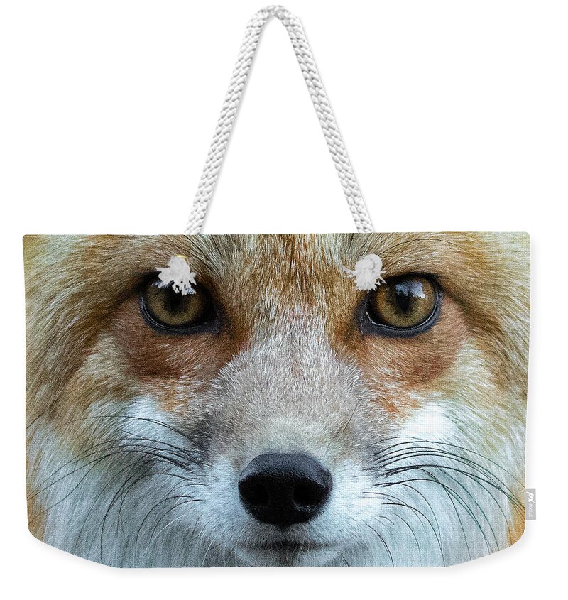 Red Fox Weekender Tote Bag featuring the photograph Fox Eyes by Mindy Musick King