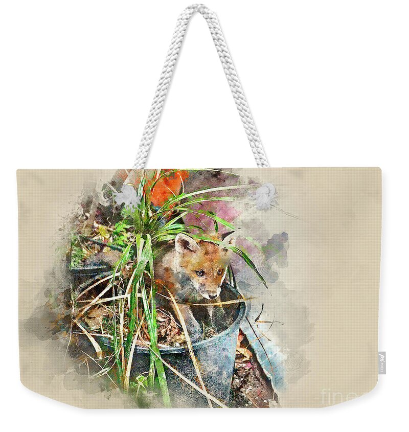 Fox Weekender Tote Bag featuring the photograph Fox in the Grass by Jack Torcello