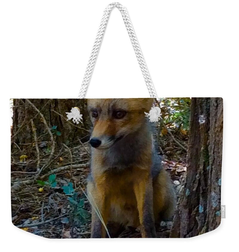 Colette Weekender Tote Bag featuring the photograph Fox Joy by Colette V Hera Guggenheim