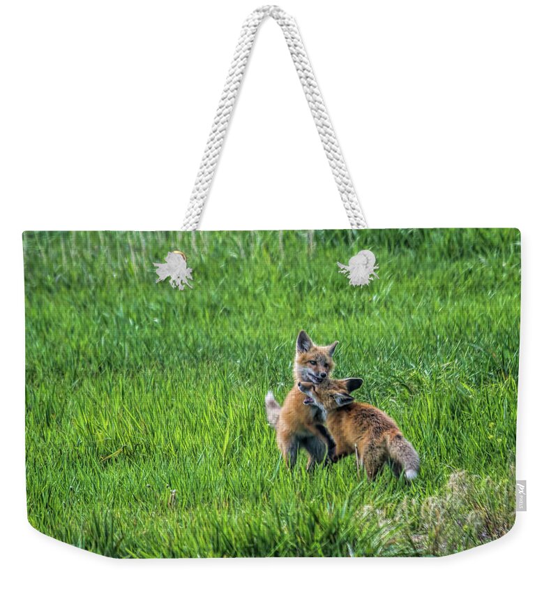 Fox Weekender Tote Bag featuring the photograph Fox Kit Games by Alana Thrower