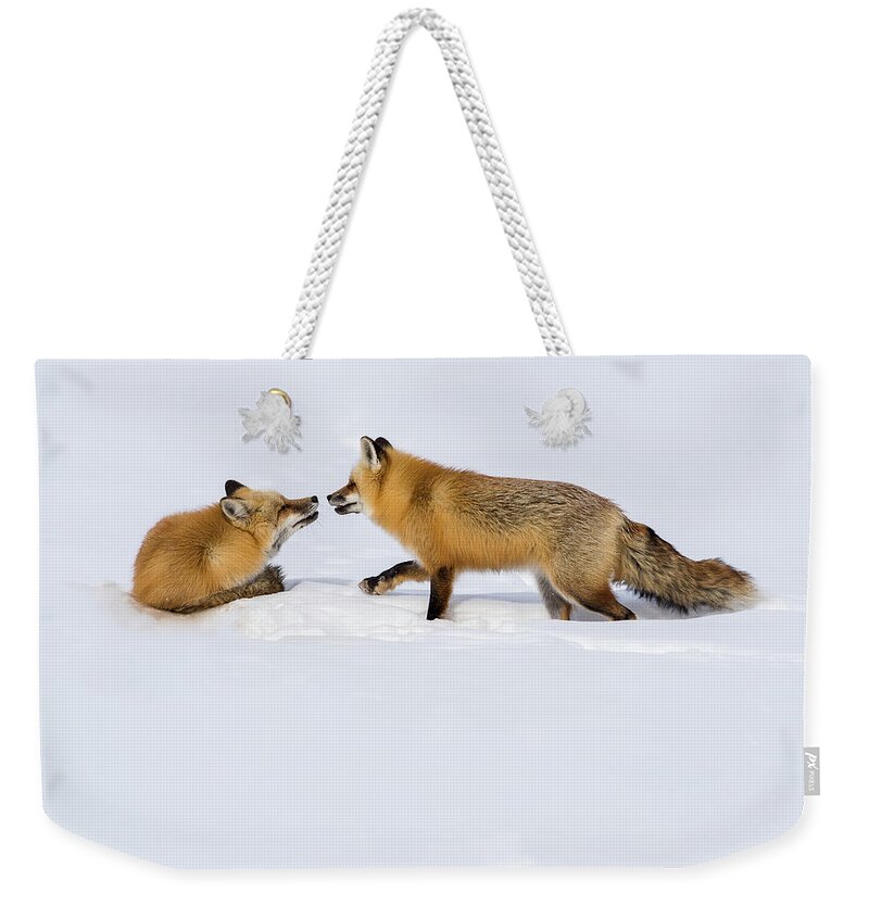 Grand Teton National Park Weekender Tote Bag featuring the photograph Fox Love by Brenda Jacobs