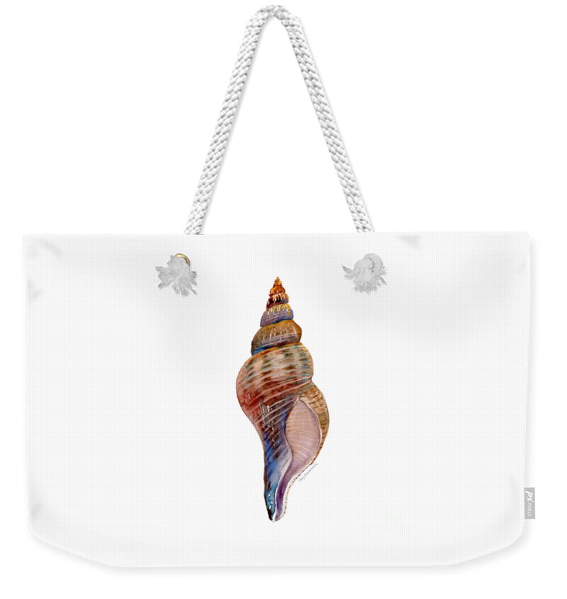 Conch Shell Painting Weekender Tote Bag featuring the painting Fox Shell by Amy Kirkpatrick