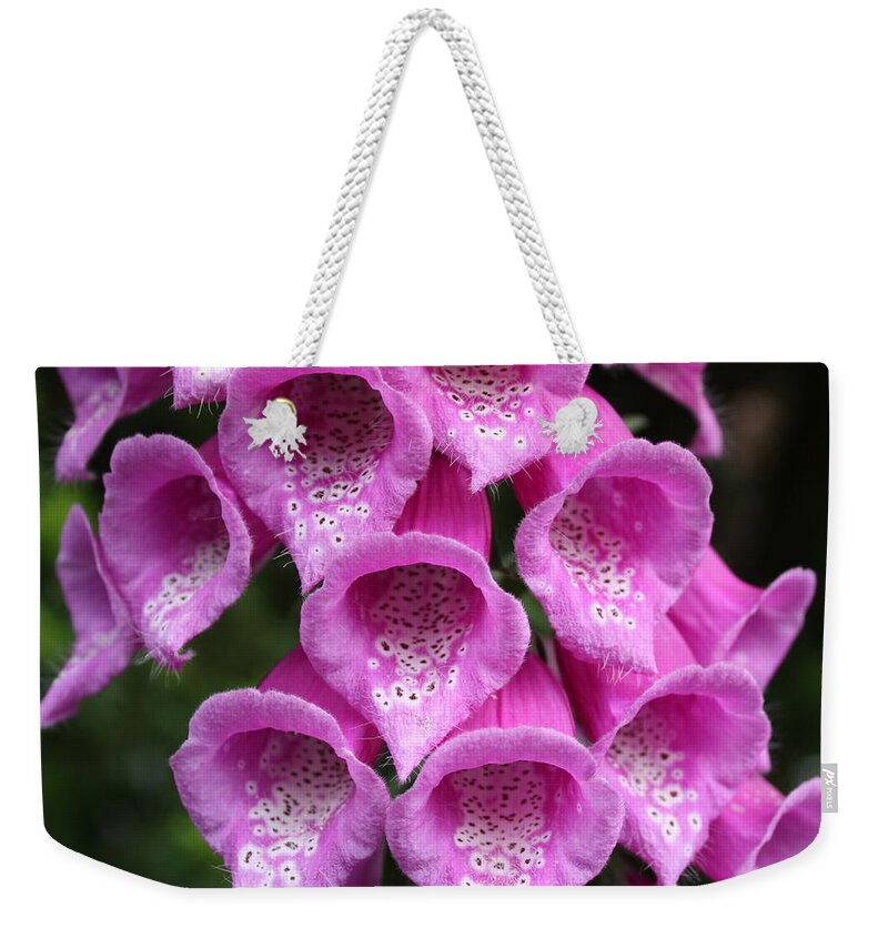 Flowers Weekender Tote Bag featuring the photograph Foxglove by Edward R Wisell