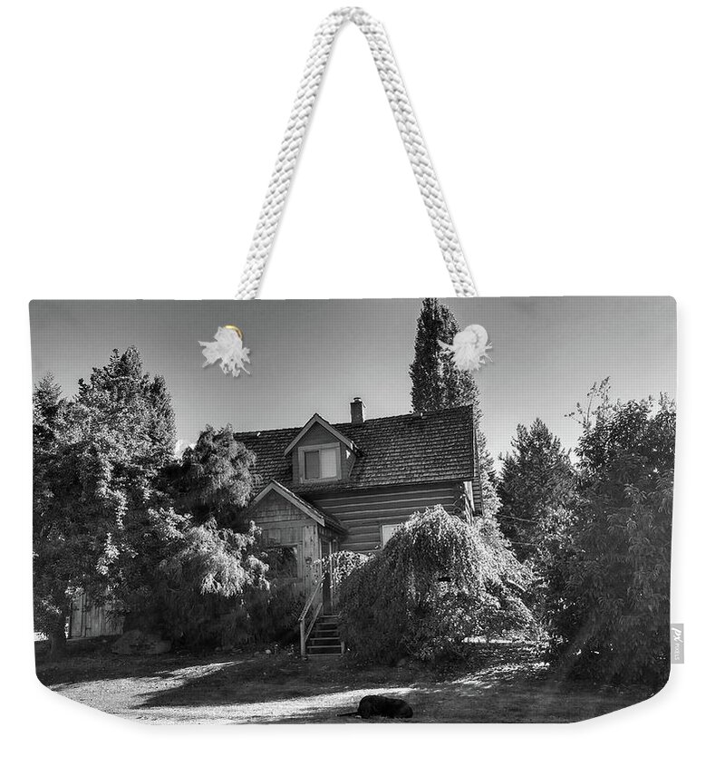 Farms Weekender Tote Bag featuring the photograph Foxglove Farm dog by Mark Alan Perry