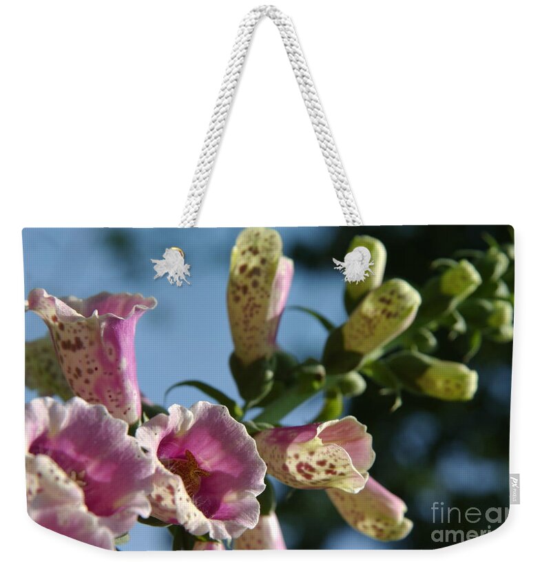 Foxglove Weekender Tote Bag featuring the photograph Foxglove to the Sky by Anna Lisa Yoder