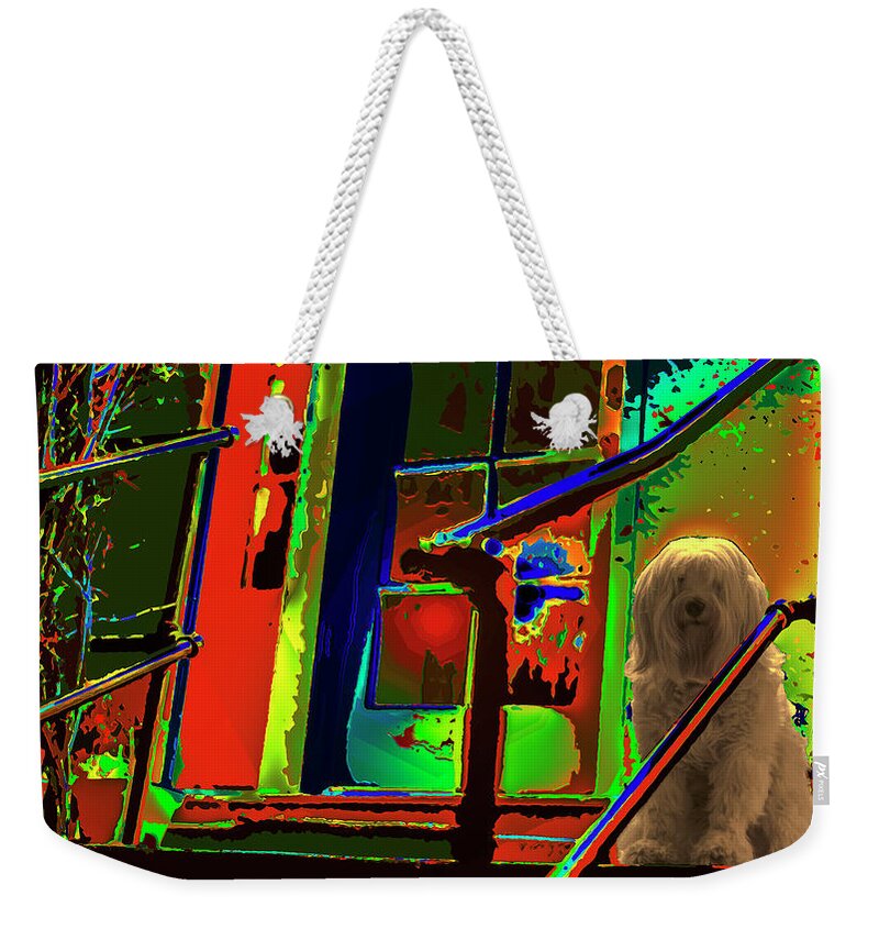  Weekender Tote Bag featuring the photograph Foxy Roxy by Kenneth James