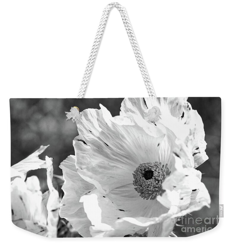 Flower Weekender Tote Bag featuring the photograph Fragile and Strong by Ana V Ramirez