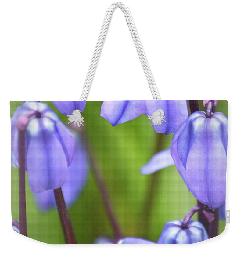Fragile Blooms Weekender Tote Bag featuring the photograph Fragile Blooms by The Art Of Marilyn Ridoutt-Greene