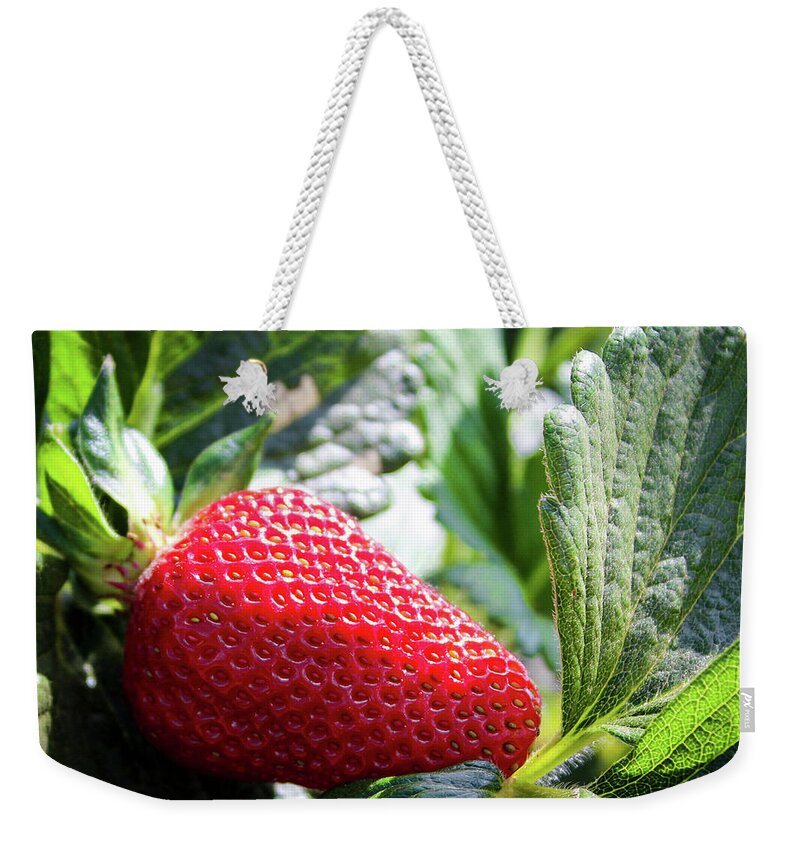 Strawberry Weekender Tote Bag featuring the photograph Fraise by Alison Frank