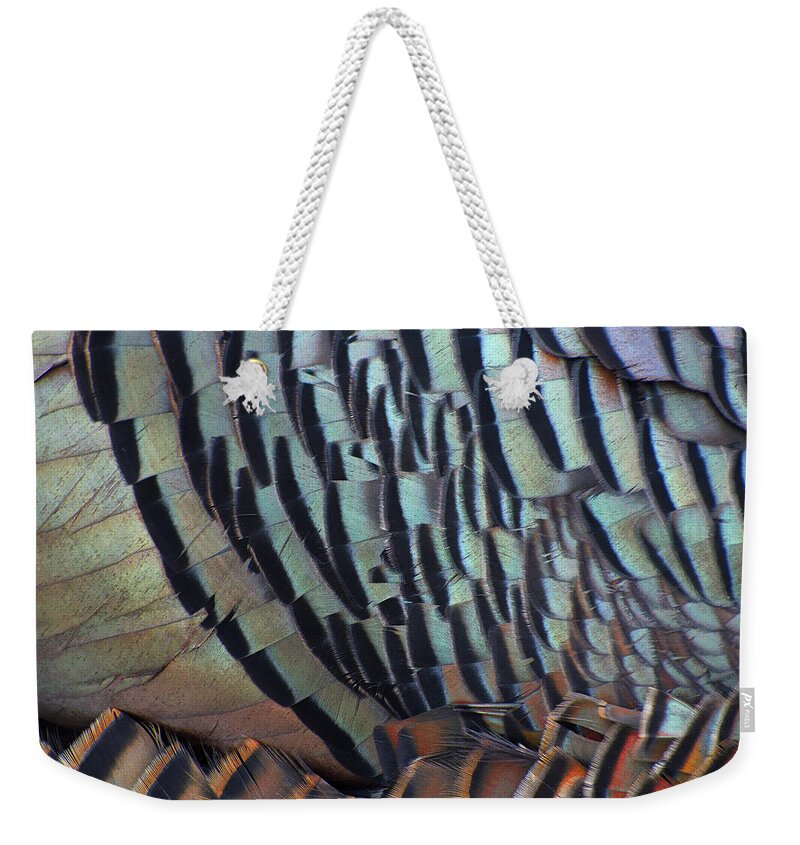 Wild Turkey Weekender Tote Bag featuring the photograph Franklin's Choice by Tony Beck