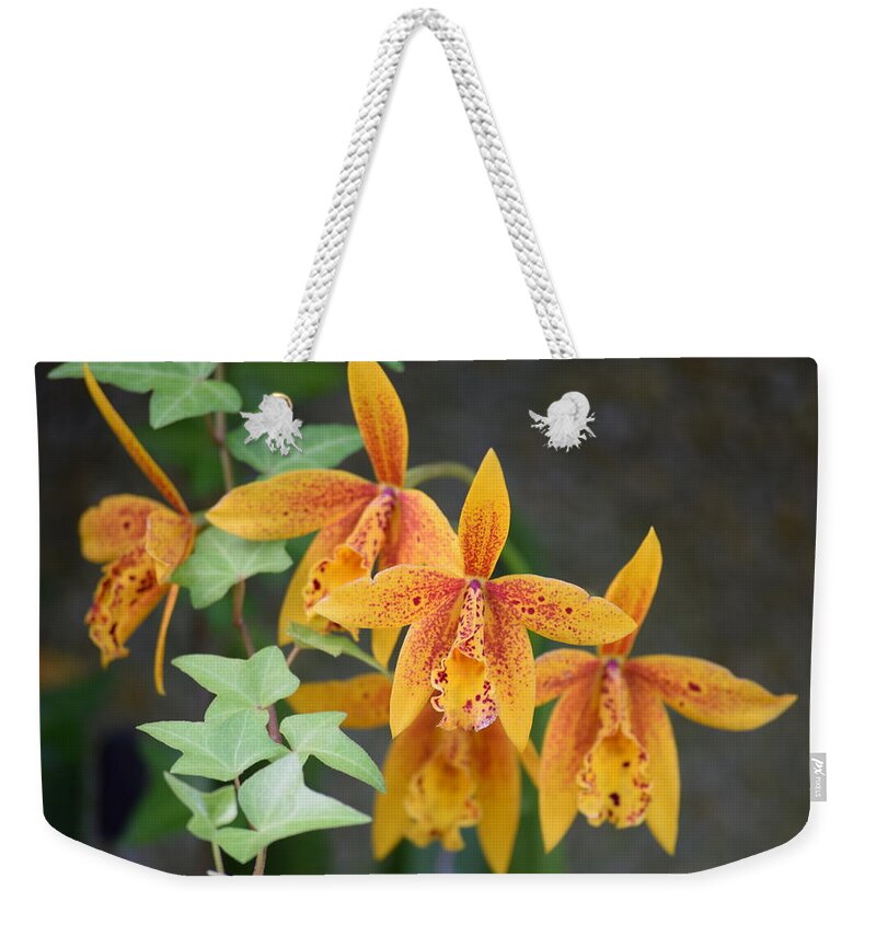 Orchid Weekender Tote Bag featuring the photograph Freckled Flora by Deborah Crew-Johnson