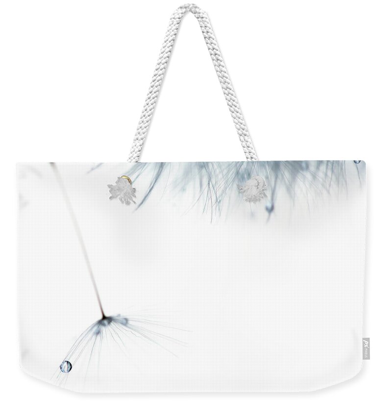 Macro Weekender Tote Bag featuring the photograph Free Fall by Rebecca Cozart