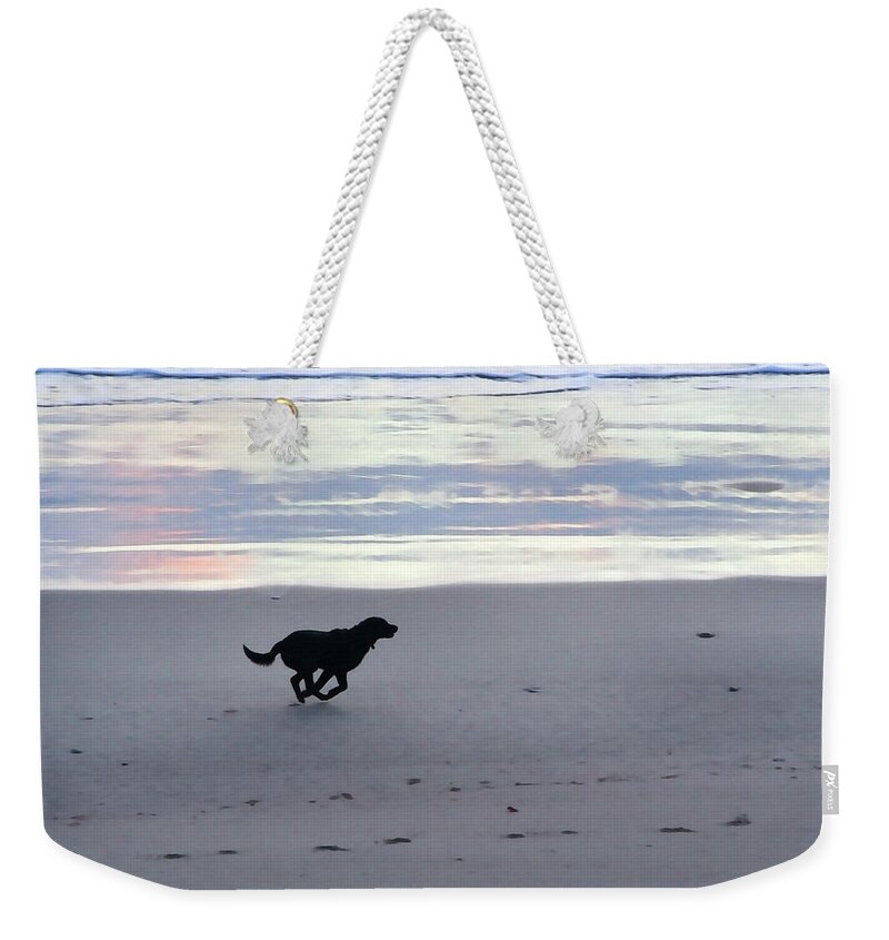 Morro Strand Beach Weekender Tote Bag featuring the photograph Freedom by Art Block Collections