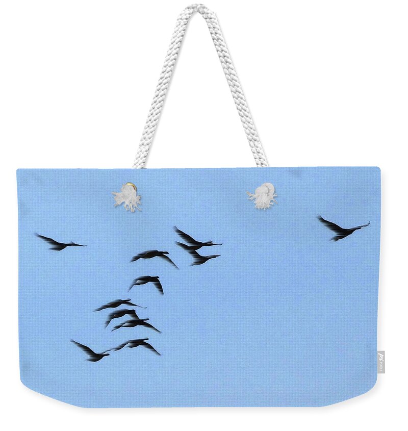 Birds Weekender Tote Bag featuring the photograph Freedom by Mark Alan Perry
