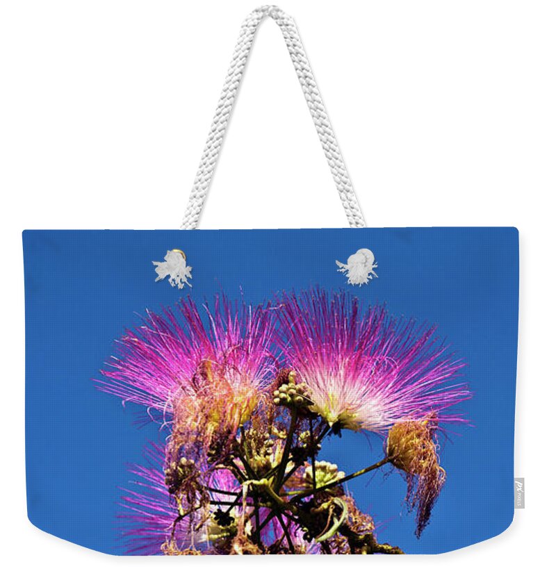 French Flowering Mimosa Weekender Tote Bag featuring the photograph French Flowering Mimosa by Silva Wischeropp