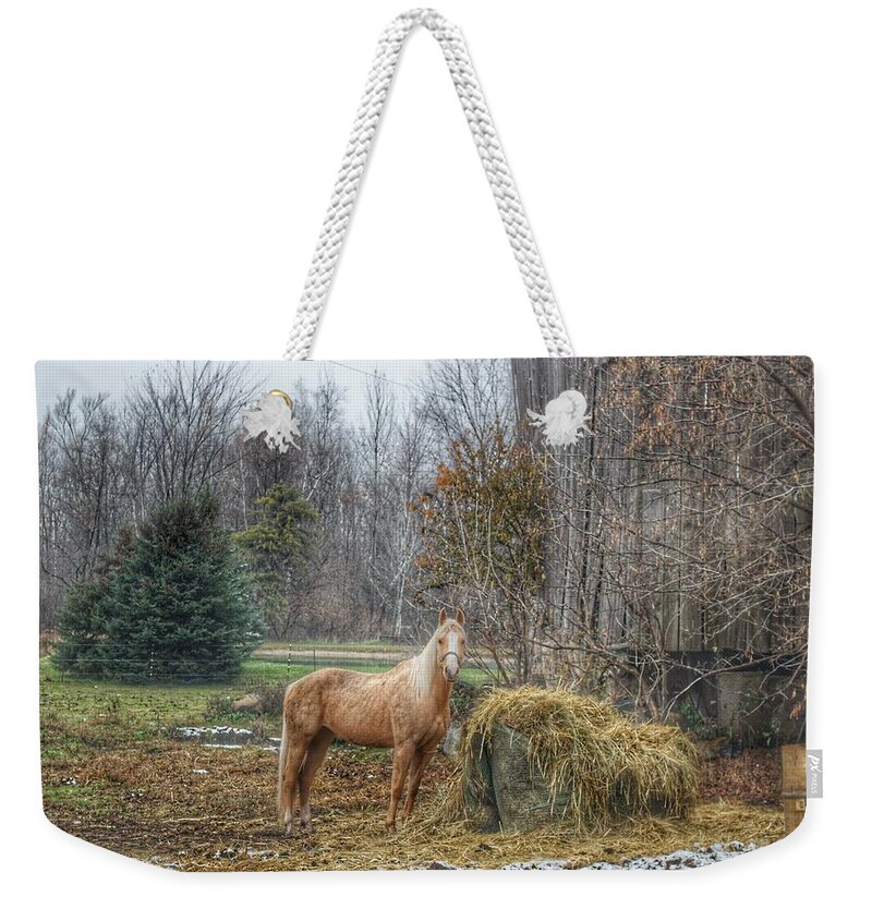 Landscape Weekender Tote Bag featuring the photograph 1016 - Frenchline Road Carmel Mare I by Sheryl L Sutter