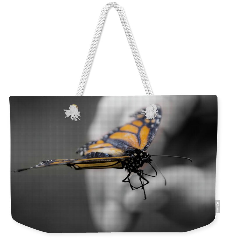 Butterfly Weekender Tote Bag featuring the photograph Friend in Hand by Deborah Klubertanz