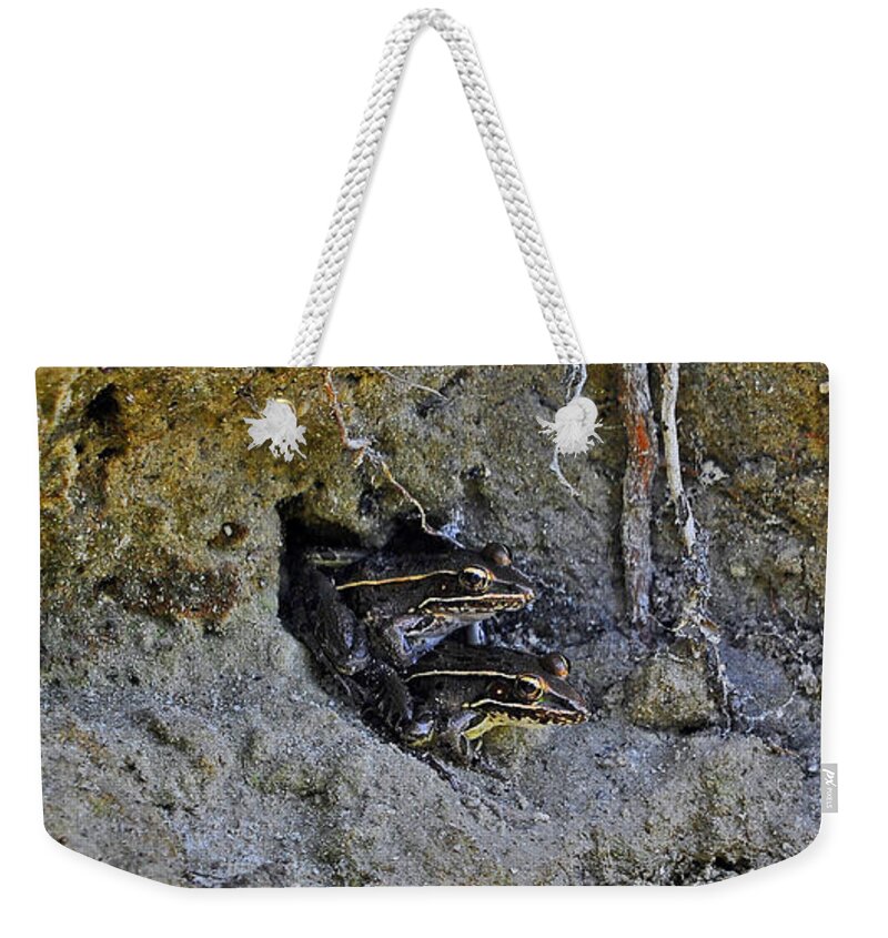 Frog Weekender Tote Bag featuring the photograph Friendly Frogs by Al Powell Photography USA