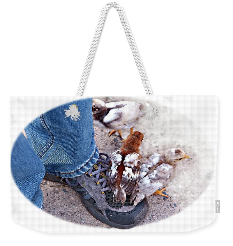 Chicken Weekender Tote Bag featuring the photograph Friends by Tatiana Travelways